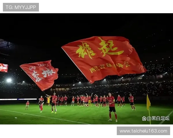 韩媒质疑成都球迷投掷水瓶击中蔚山球员称缺乏现场画面证据